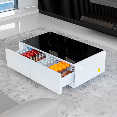 Opvouwbare NO Multifunctionele Moderne Mini Smart Koelkast met draadloos opladen