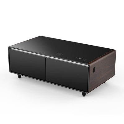 Moderne mini koelkast thee tafel met muziekspeler en temperatuurbereik van 3 8 C/6- 12 C
