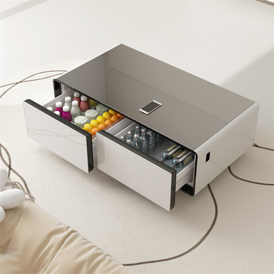 Stainless Steel Smart Tea Table Refrigerator met Carbon Dioxide Monitoring Range