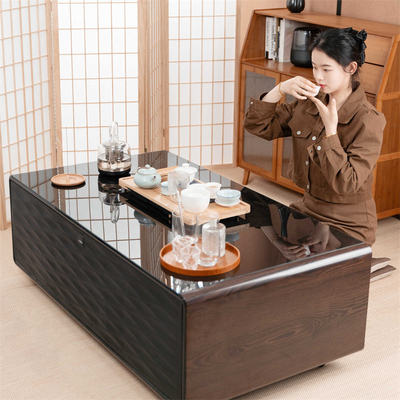 Multifunctionele mini koelkast koffietafel met draadloos opladen en muziekspeler