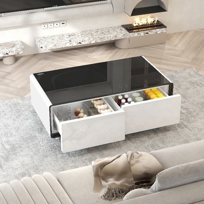 Multifunctionele mini koelkast met interactief touchscreen en metalen frame