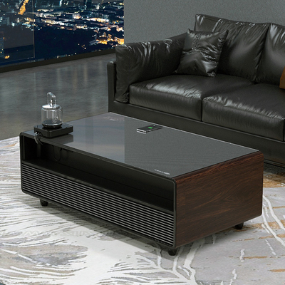 75W Modern Design Wijnkoeler Mini Koelkast Koffietafel voor Home Theater