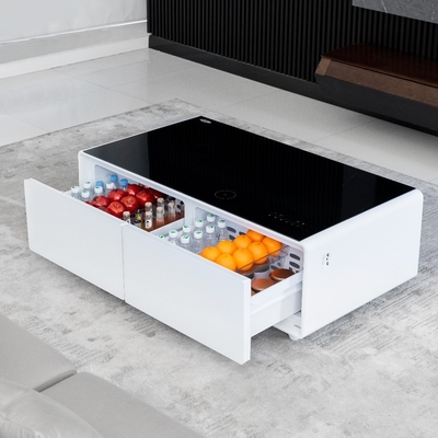 Meubelen voor de woonkamer Koffietafel met vriezer en mini-koelkast