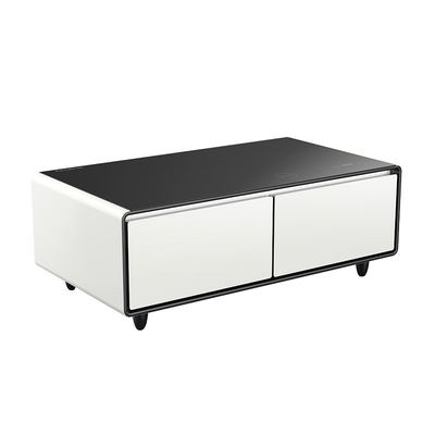 Elektrisch Compact Primst Smart Koffietafel Mini Bar Koelkast voor het koelen van wijn Bier thuis