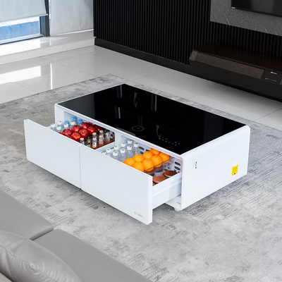 Primst Design Mini Bar Intelligente constante temperatuur koelkast voor moderne koffietafel