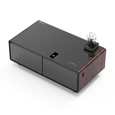 60W Power Smart koelkast met draadloos opladen USB en dubbele temperatuurzones