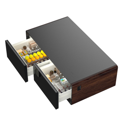 60W Power Smart koelkast met draadloos opladen USB en dubbele temperatuurzones