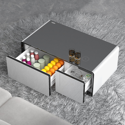 Muziektafel draadloos opladen Mini koelkast met koelkast en 60L capaciteit