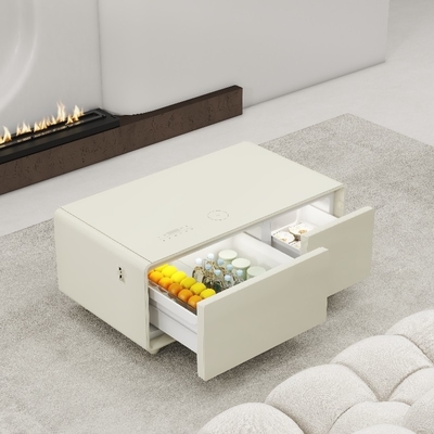 Moderne koffietafel met koelkast en 27 liter vriezer
