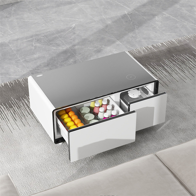 Moderne koffietafel met koelkast en 27 liter vriezer