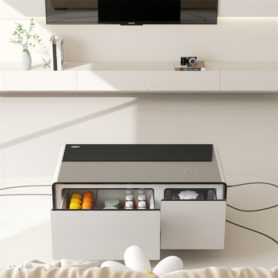 Klasse 2 energie-efficiëntiebeoordeling Muziekspeler koelkast voor luxe woonkamer