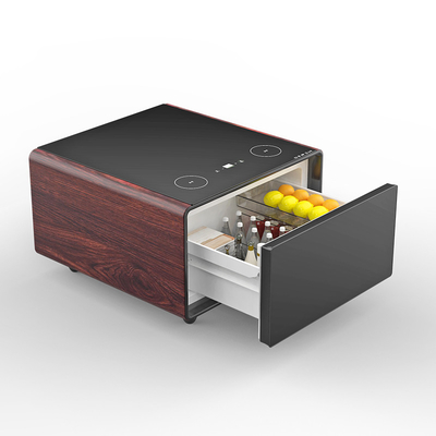 Woonkamermeubelen Slimme mini koelkast Koffietafel met USB-opladen en muziekspeler