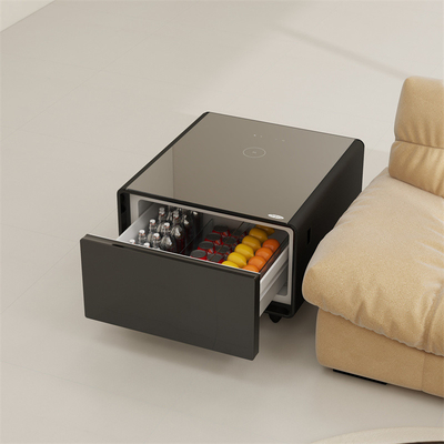 2024 Tabel Een must-have voor moderne huizen Multifunctionele koelkast en koffietafel