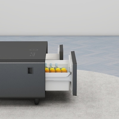 220V Compact Mini Bar Wireless Charging Koelkast voor wijn- en drankopslagkasten
